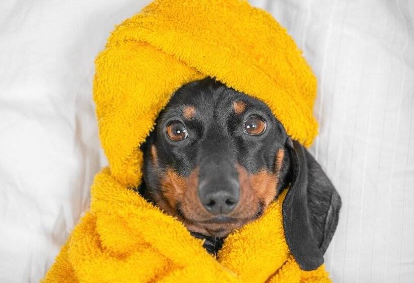 Hotel Coast Swift Current