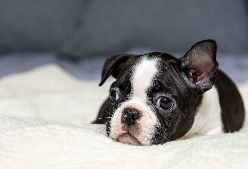 Hotel Coast Swift Current