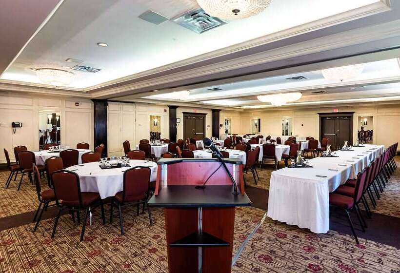 酒店 Comfort  Airport