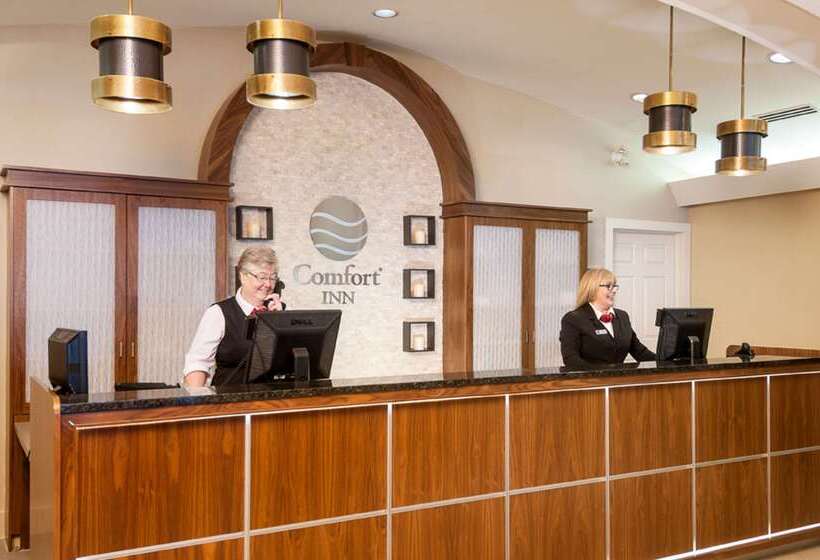 酒店 Comfort  Airport