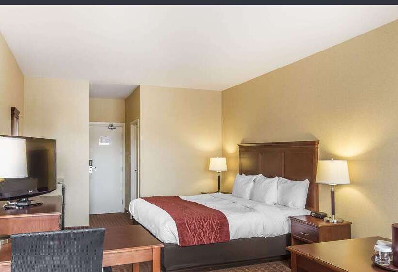 酒店 Comfort  Airport