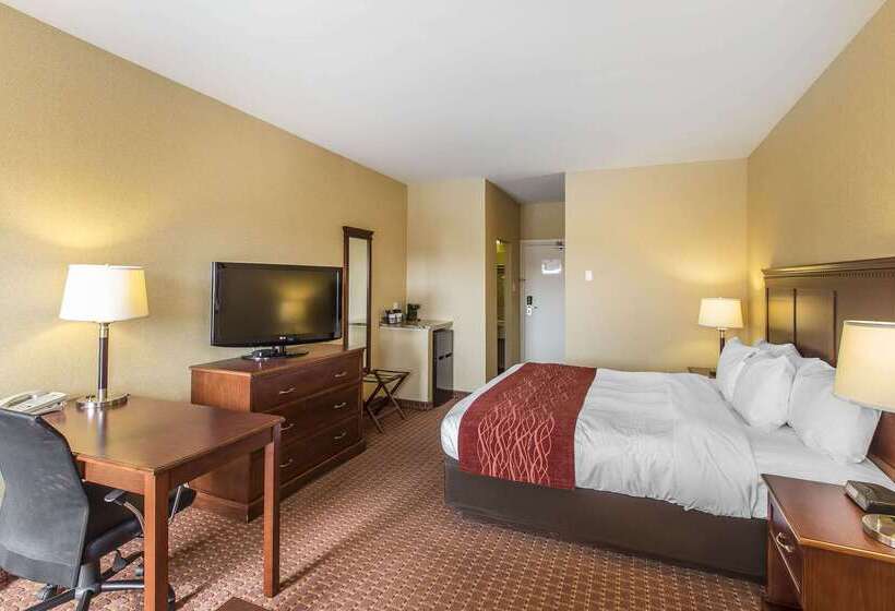 酒店 Comfort  Airport