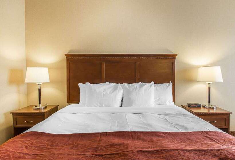 酒店 Comfort  Airport