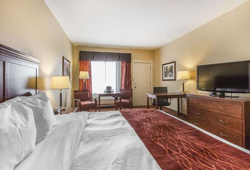 酒店 Comfort  Airport