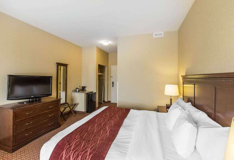 酒店 Comfort  Airport