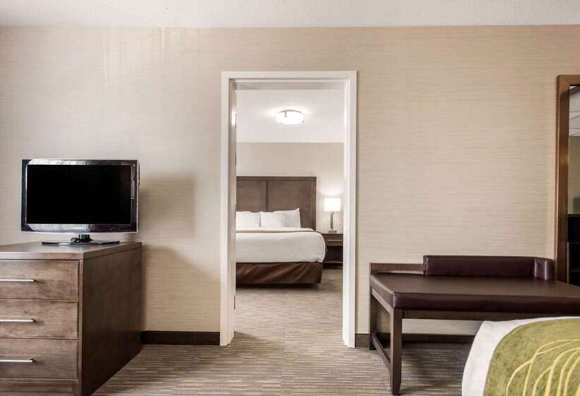هتل Comfort Inn & Suites
