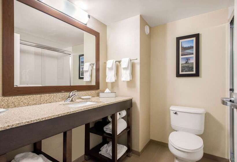 فندق Comfort Inn & Suites