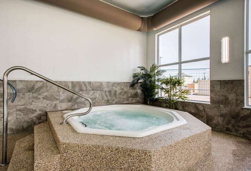 فندق Comfort Inn & Suites