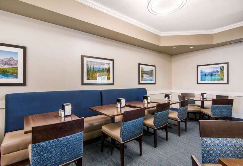 فندق Comfort Inn & Suites