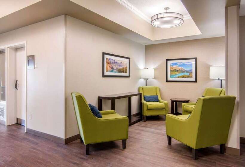 هتل Comfort Inn & Suites