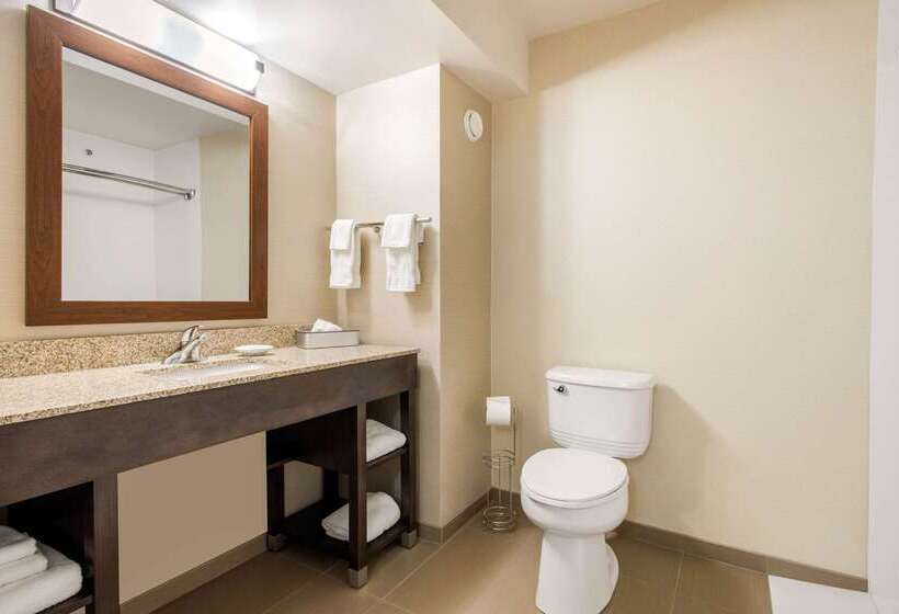 فندق Comfort Inn & Suites