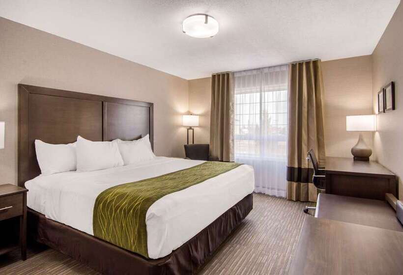 فندق Comfort Inn & Suites