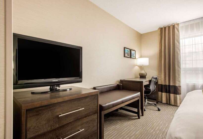 فندق Comfort Inn & Suites