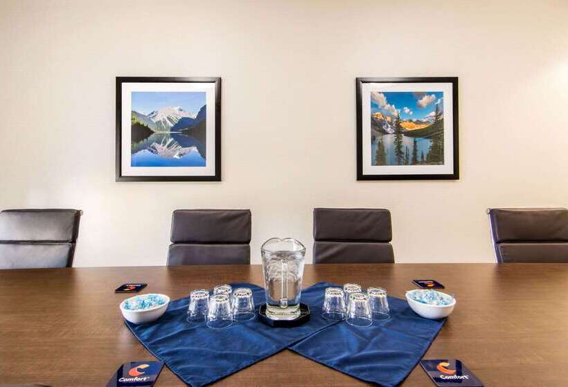 فندق Comfort Inn & Suites