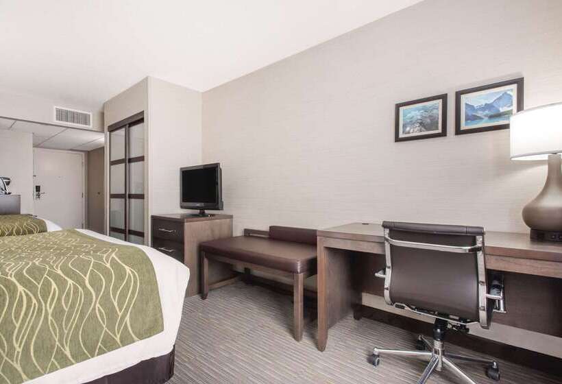 فندق Comfort Inn & Suites