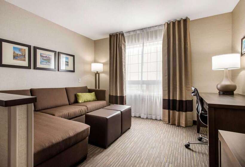 فندق Comfort Inn & Suites