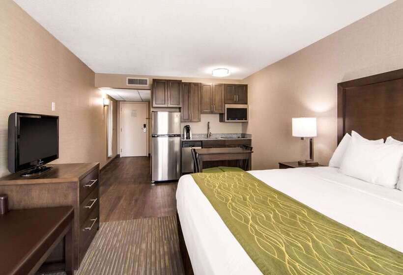 فندق Comfort Inn & Suites