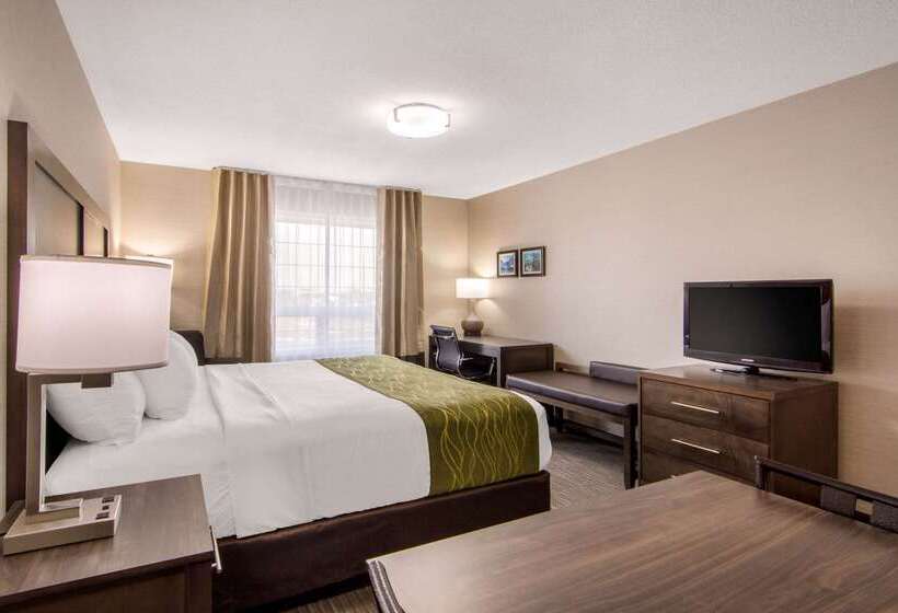 فندق Comfort Inn & Suites