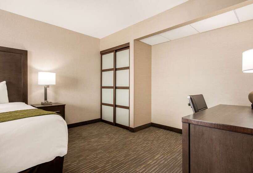 فندق Comfort Inn & Suites