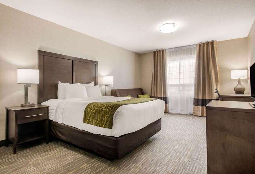 فندق Comfort Inn & Suites