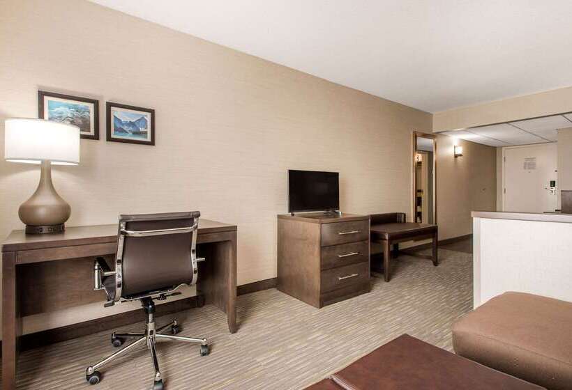 فندق Comfort Inn & Suites