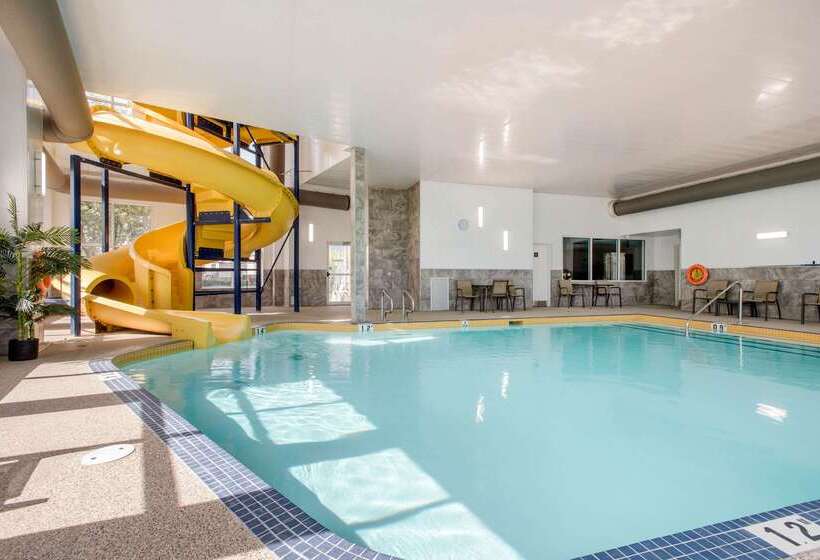 فندق Comfort Inn & Suites