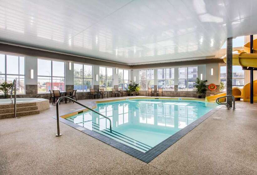 فندق Comfort Inn & Suites