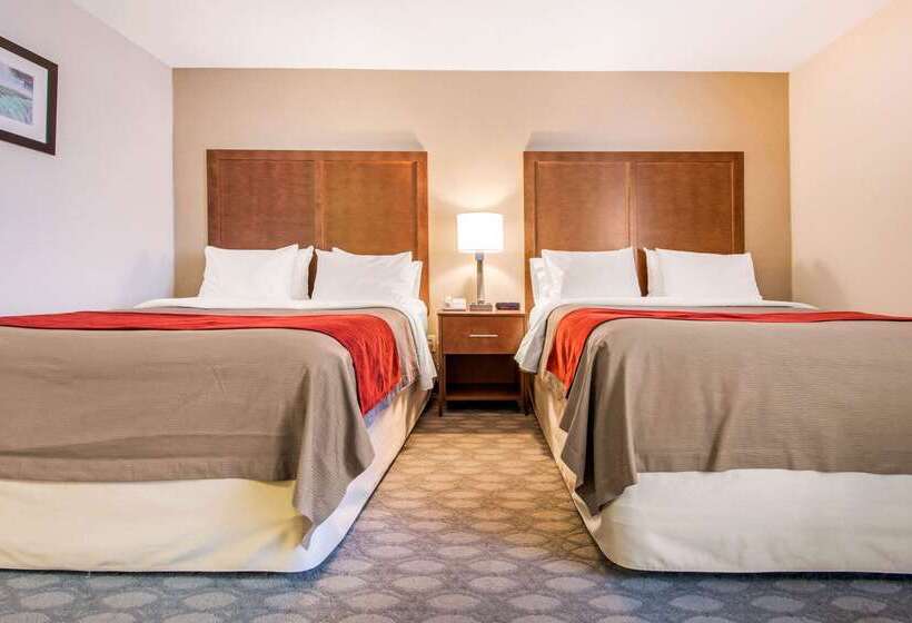 בית מלון כפרי Comfort Inn Fallsview