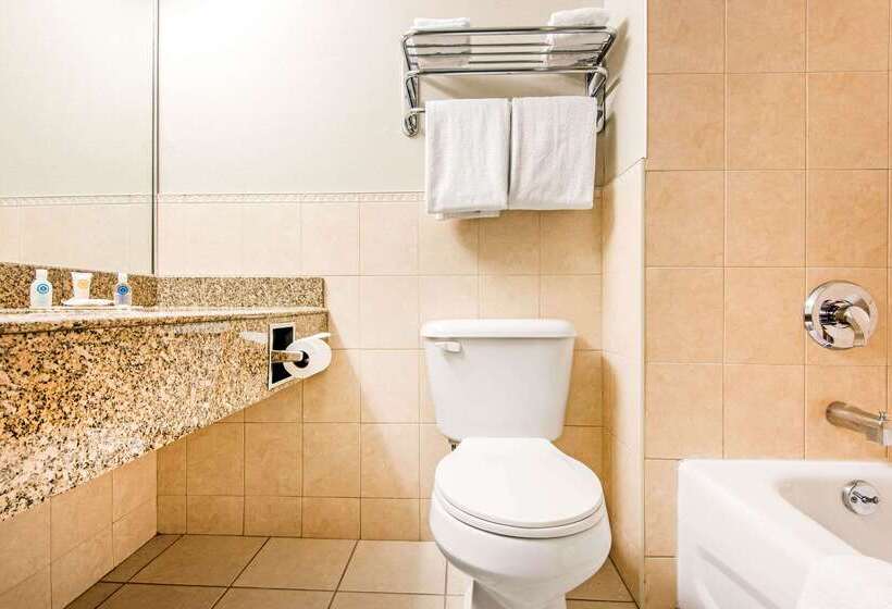 בית מלון כפרי Comfort Inn Fallsview