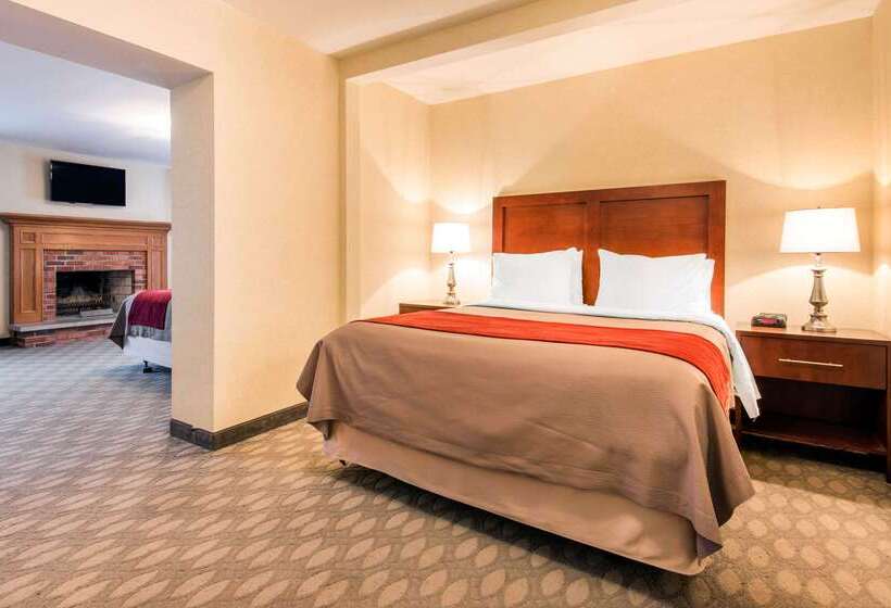 هتل Comfort Inn Fallsview