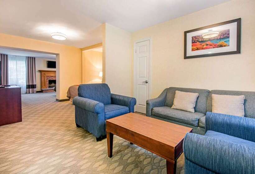 בית מלון כפרי Comfort Inn Fallsview