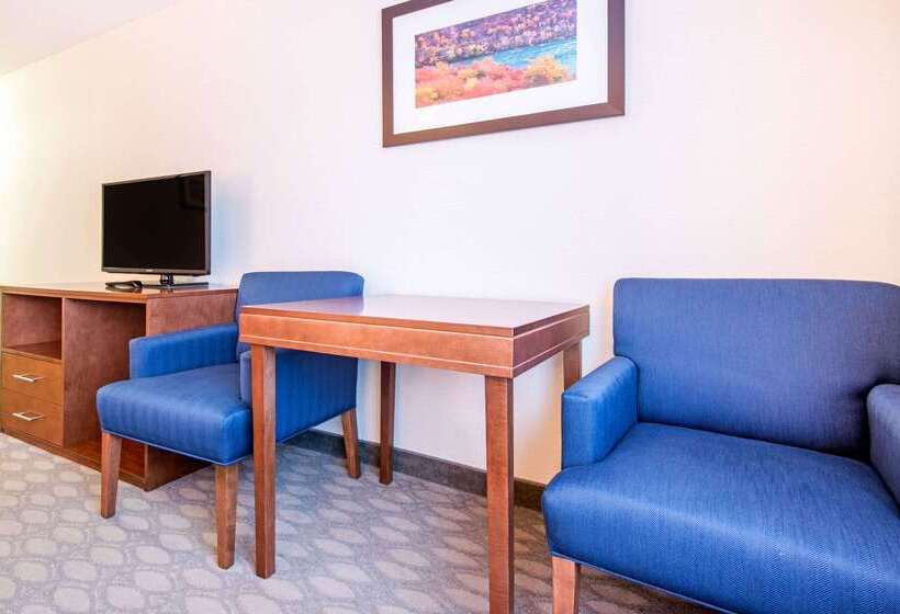 هتل Comfort Inn Fallsview