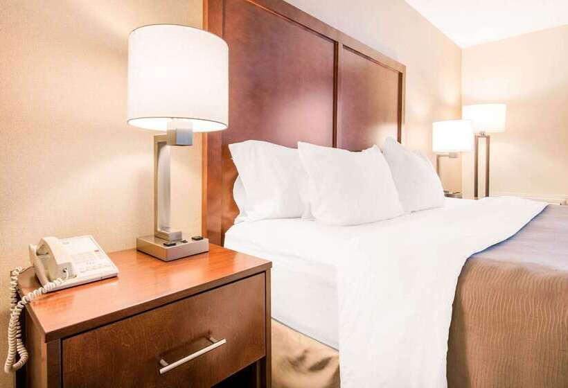 בית מלון כפרי Comfort Inn Fallsview