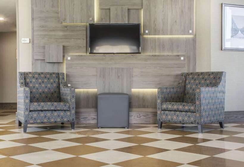 هتل Comfort Inn Fallsview