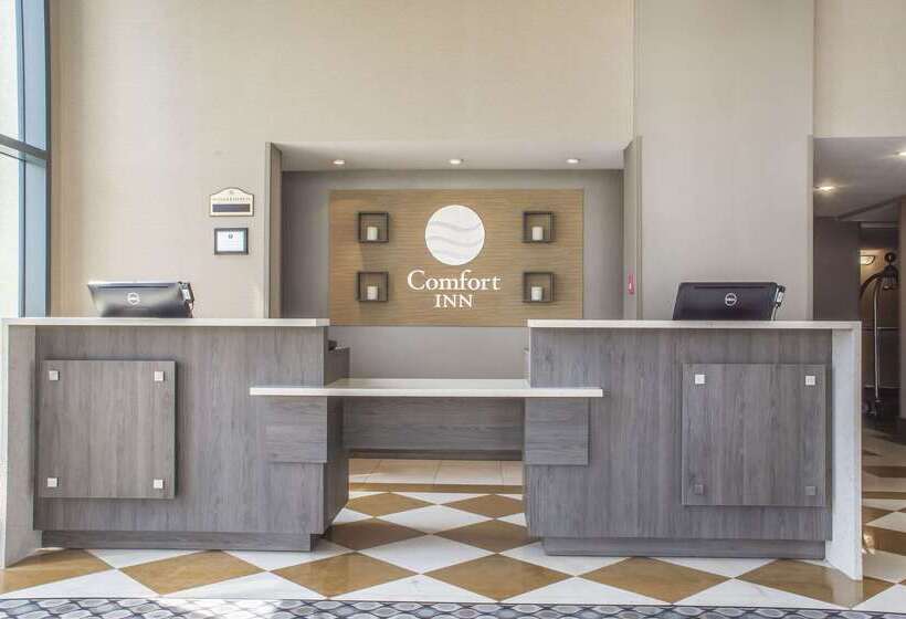 בית מלון כפרי Comfort Inn Fallsview