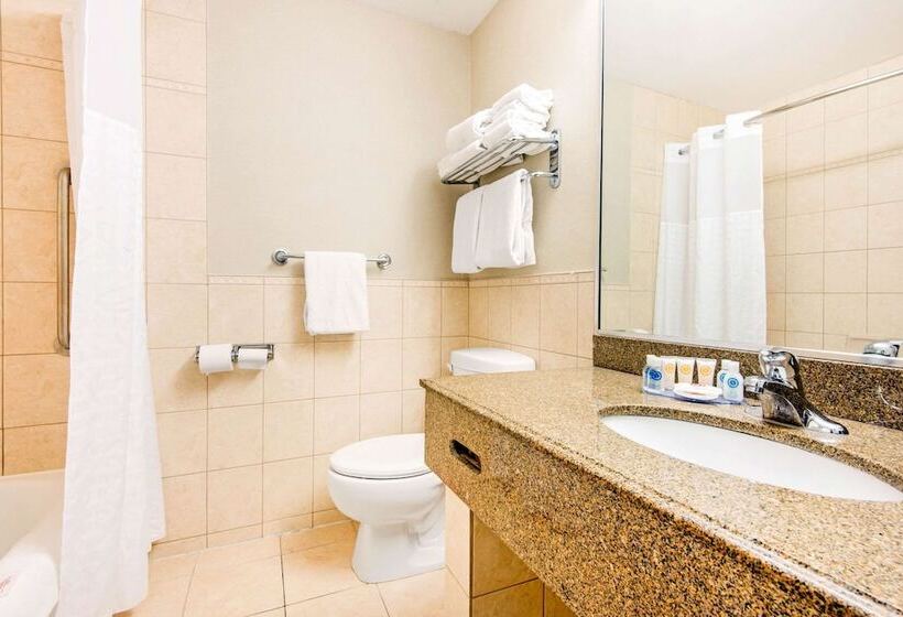 בית מלון כפרי Comfort Inn Fallsview