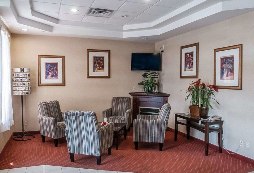 ホテル Comfort Inn