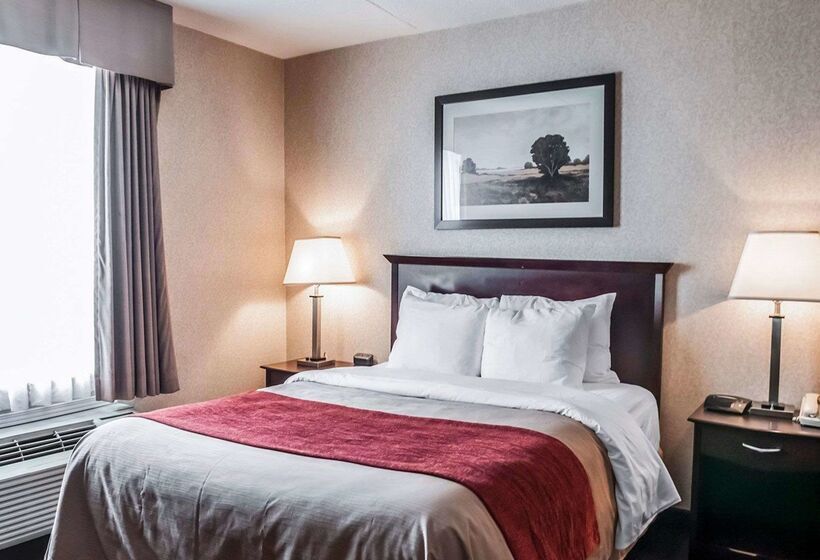 ホテル Comfort Inn