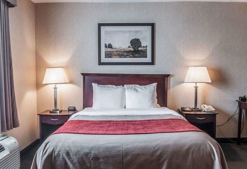 ホテル Comfort Inn