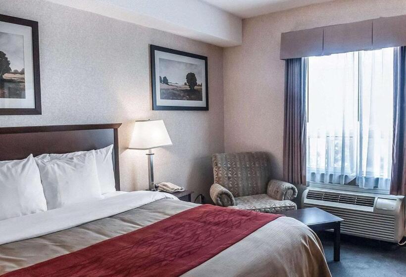 ホテル Comfort Inn