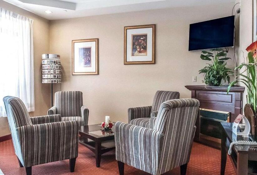 ホテル Comfort Inn