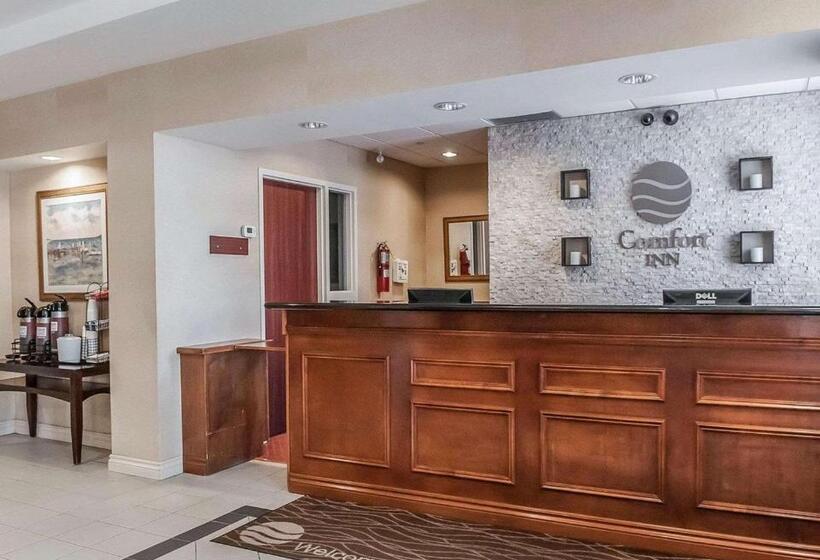 ホテル Comfort Inn