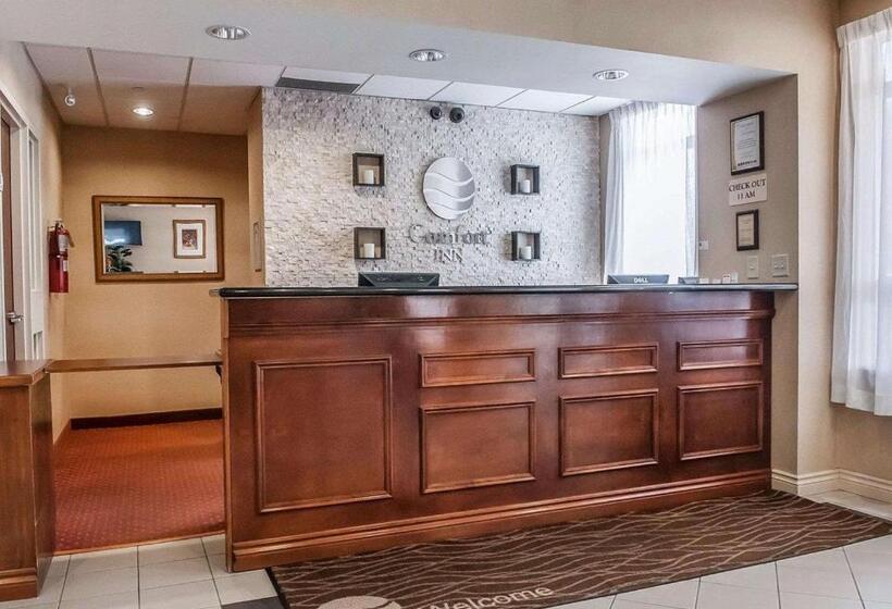 ホテル Comfort Inn