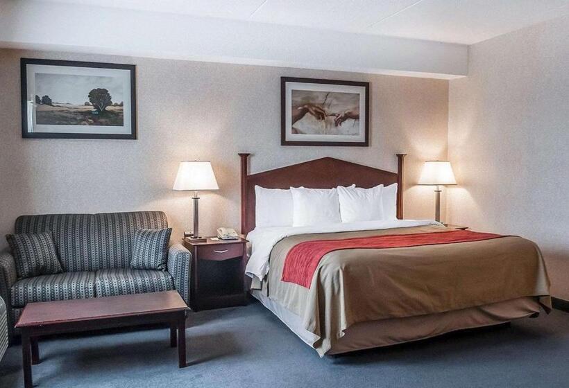 ホテル Comfort Inn