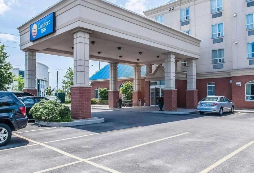 ホテル Comfort Inn