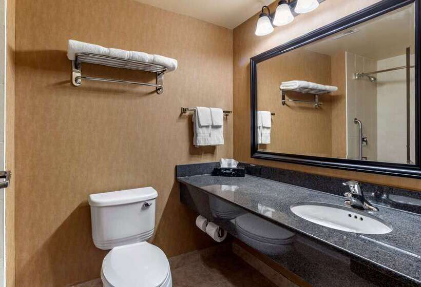 فندق Comfort Inn