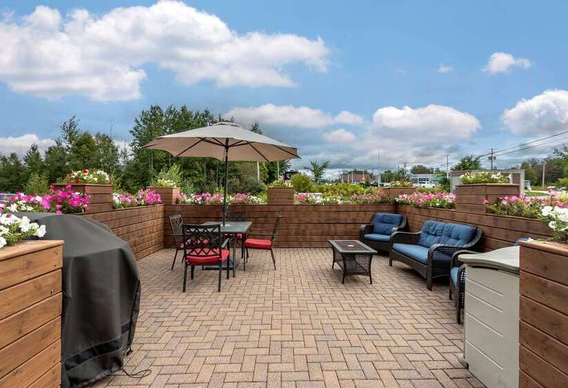 فندق Comfort Inn