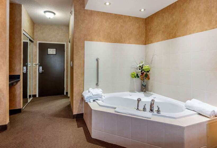 فندق Comfort Inn