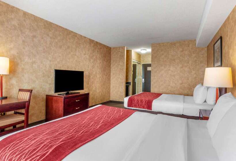 فندق Comfort Inn