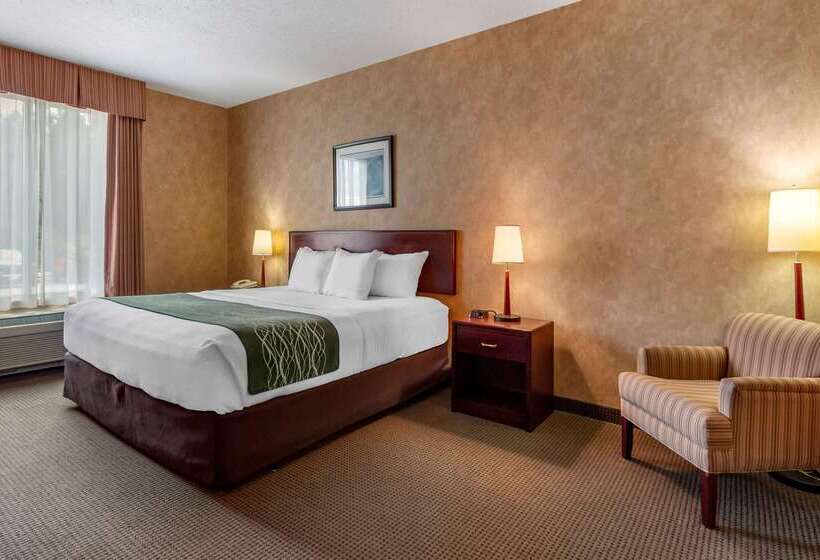 فندق Comfort Inn